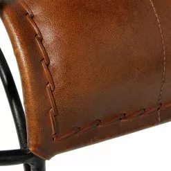 Grayson Lane Vintage Brown Genuine Leather Accent Chair -GRAYSON LANE SHOP 330858285 AlternateImage3