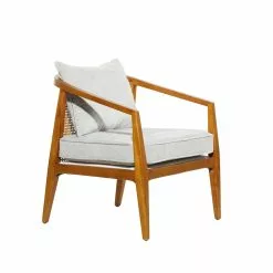 Grayson Lane 25-in X 29-in Contemporary Accent Chair - Brown Wood