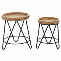 Grayson Lane Set Of 2 19-in, 22-in Modern Accent Table - Brown Metal
