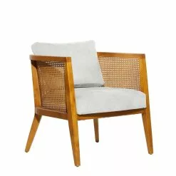 Grayson Lane 27-in X 27-in Contemporary Accent Chair - Brown Wood