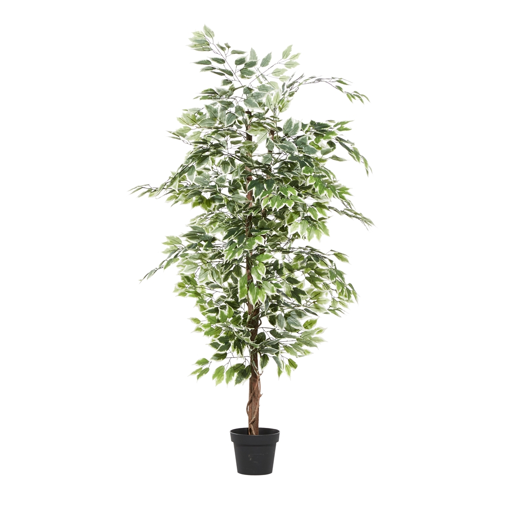 Grayson Lane 73-in Green Artificial Ficus Tree 1 Grayson Lane 73-in Green Artificial Ficus Tree