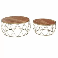 Grayson Lane Brown Wood Accent Table Set - 2-Piece