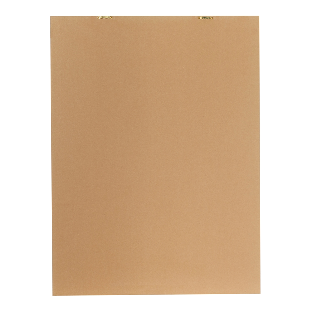 Grayson Lane Silver Wood Framed 47-in H X 36-in W Coastal Birds Canvas Painting 1 Grayson Lane Silver Wood Framed 47-in H X 36-in W Coastal Birds Canvas Painting