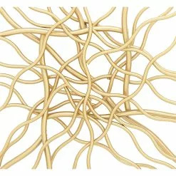 Grayson Lane 20-in X 20-in Multicoloured Metal Contemporary Abstract Wall Decor - Set Of 2