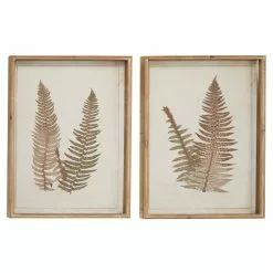 Grayson Lane 19-in X 25-in Brown Wood Framed Vintage Botanical Wall Art - Set Of 2 -GRAYSON LANE SHOP 330940952 MainImage 001