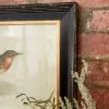 Grayson Lane 19-in X 13-in Black Wood Framed Farmhouse Cottage Birds Wall Art - Set Of 2