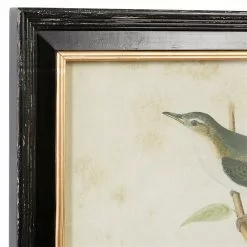 Grayson Lane 19-in X 13-in Black Wood Framed Farmhouse Cottage Birds Wall Art - Set Of 2 -GRAYSON LANE SHOP 330940954 AlternateImage3