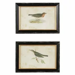 Grayson Lane 19-in X 13-in Black Wood Framed Farmhouse Cottage Birds Wall Art - Set Of 2 -GRAYSON LANE SHOP 330940954 MainImage 001