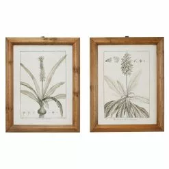 Grayson Lane 17-in X 21-in Brown Wood Framed Vintage Botanical Wall Art Light - Set Of 2 11 Grayson Lane 17-in X 21-in Brown Wood Framed Vintage Botanical Wall Art Light - Set Of 2 -GRAYSON LANE SHOP 330941095 AlternateImage5
