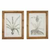 Grayson Lane 17-in X 21-in Brown Wood Framed Vintage Botanical Wall Art Light - Set Of 2