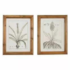 Grayson Lane 17-in X 21-in Brown Wood Framed Vintage Botanical Wall Art Light - Set Of 2