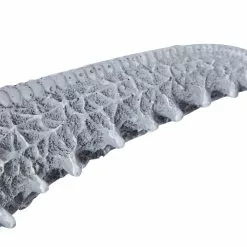 Grayson Lane 14-in H X 14-in W Coastal Resin Wall Accent -GRAYSON LANE SHOP 330942278 AlternateImage5