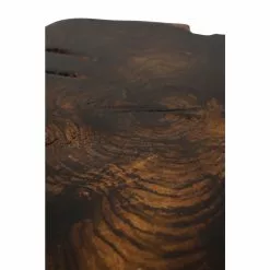Grayson Lane Dark Brown Wood Live Edge End Table -GRAYSON LANE SHOP 330944844 AlternateImage4
